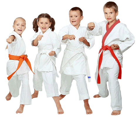 Karate Photo Transparent PNG Image