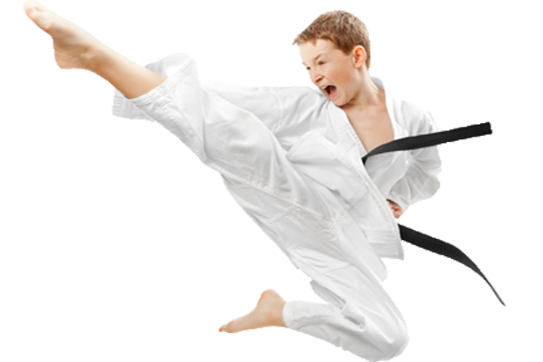 Karate Transparent Background Transparent PNG Image