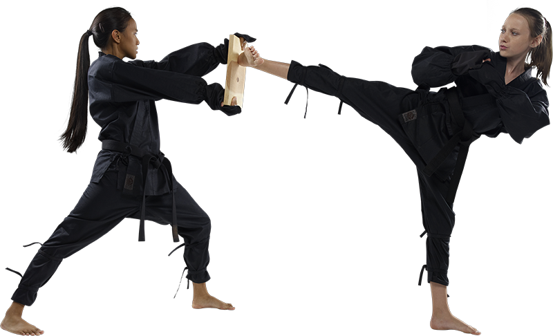 Karate Transparent PNG Image