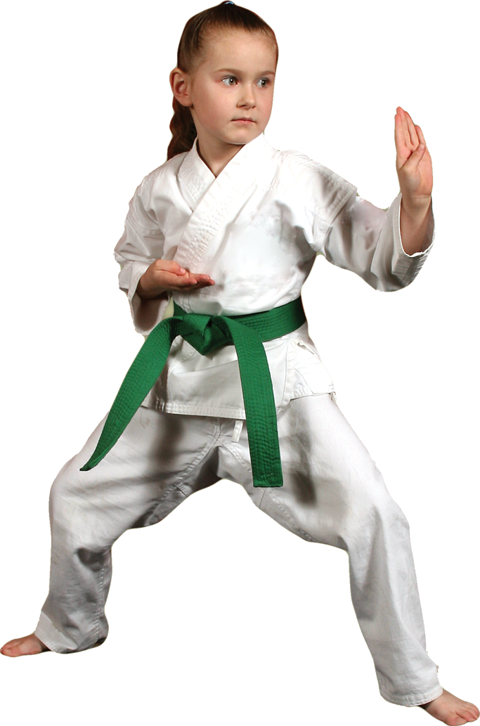 Karate Picture Transparent PNG Image