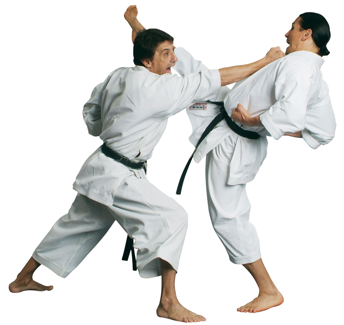 Karate Transparent Picture Transparent PNG Image