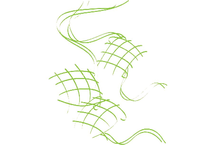 Dish Pic Ketupat Free HD Image Transparent PNG Image