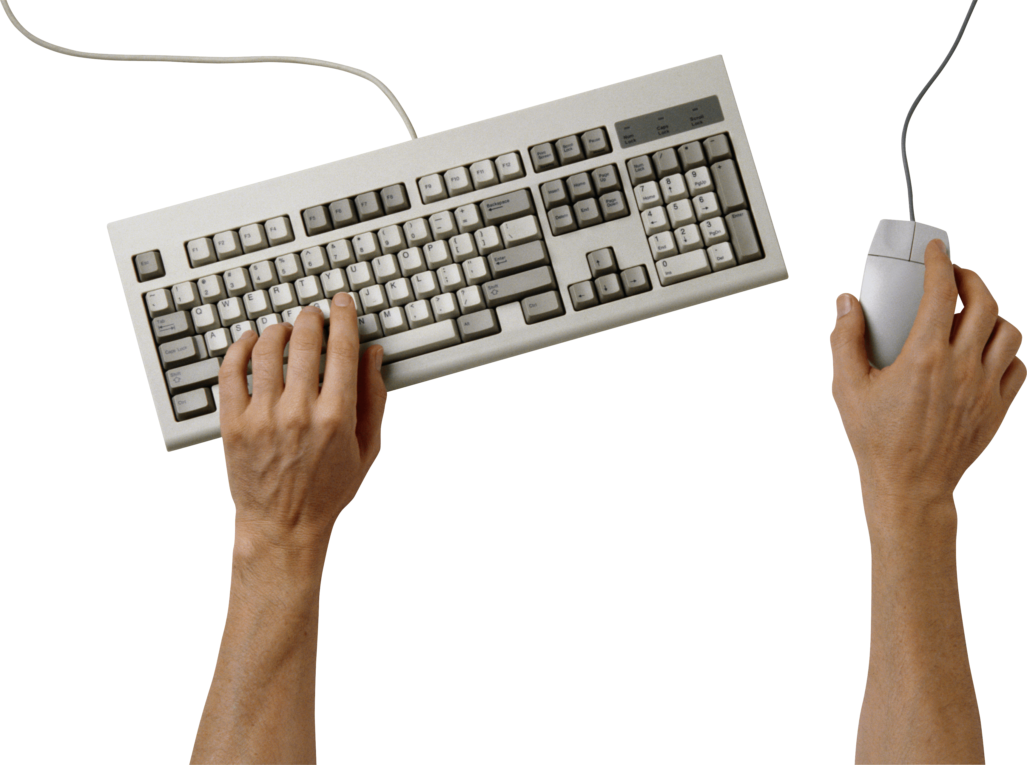 Hands On Keyboard Png Image Transparent PNG Image