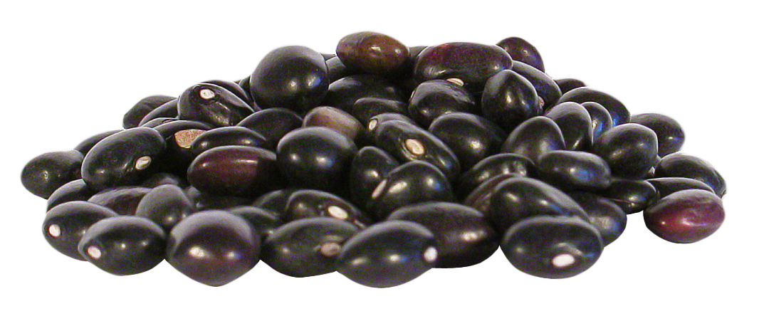 Beans Black Kidney Free Download Image Transparent PNG Image