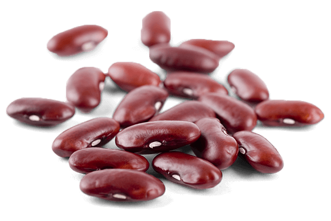 Fresh Beans Kidney Free HD Image Transparent PNG Image