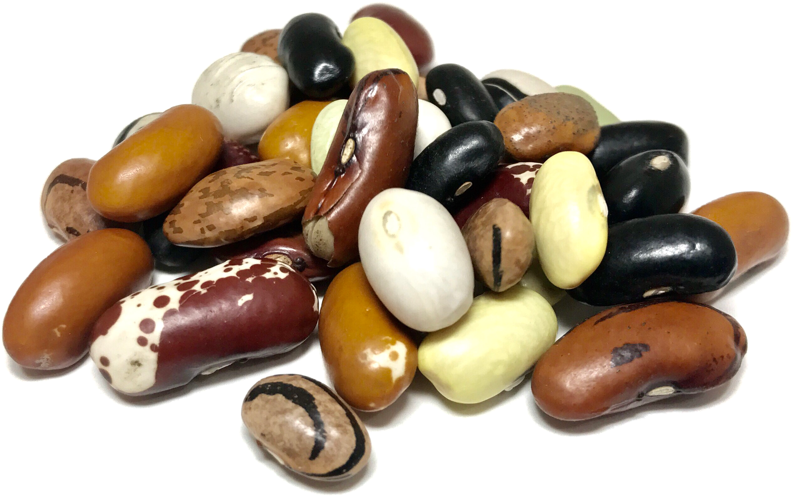 Mixed Beans Kidney HQ Image Free Transparent PNG Image