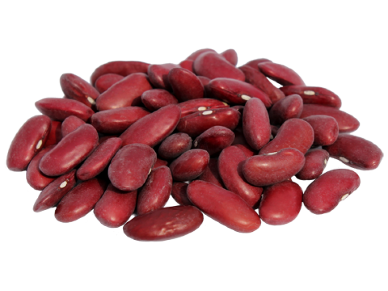 Beans Organic Kidney PNG Image High Quality Transparent PNG Image