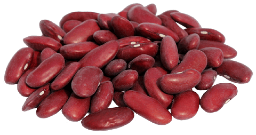 Raw Beans Kidney Free HD Image Transparent PNG Image