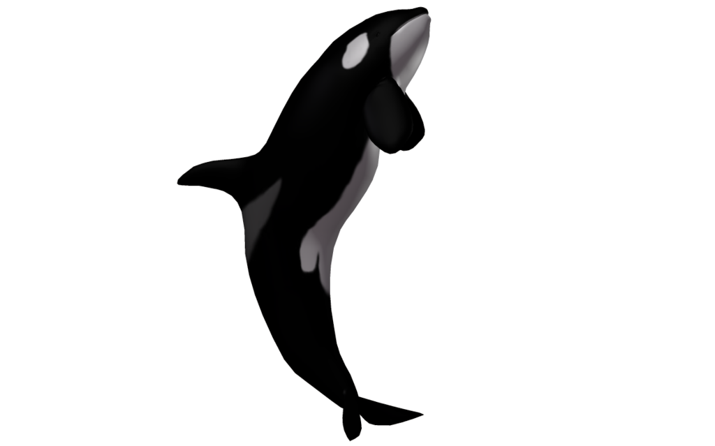 Killer Whale Transparent Transparent PNG Image