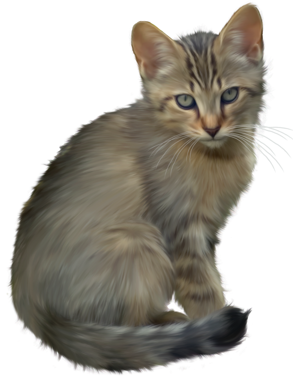 Kitten Transparent Transparent PNG Image