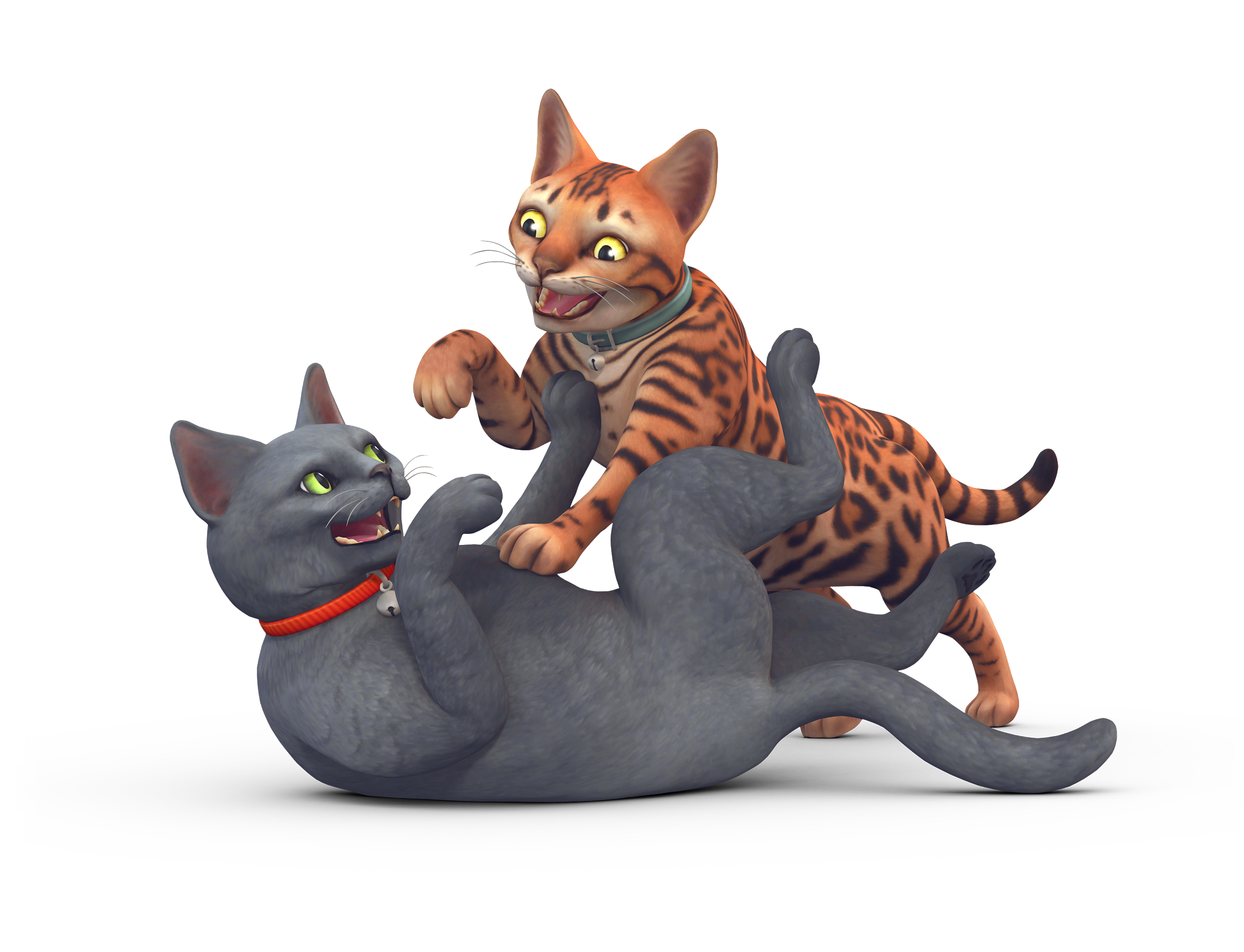 Sims Medium Dog Cat Sized To Cats Transparent PNG Image