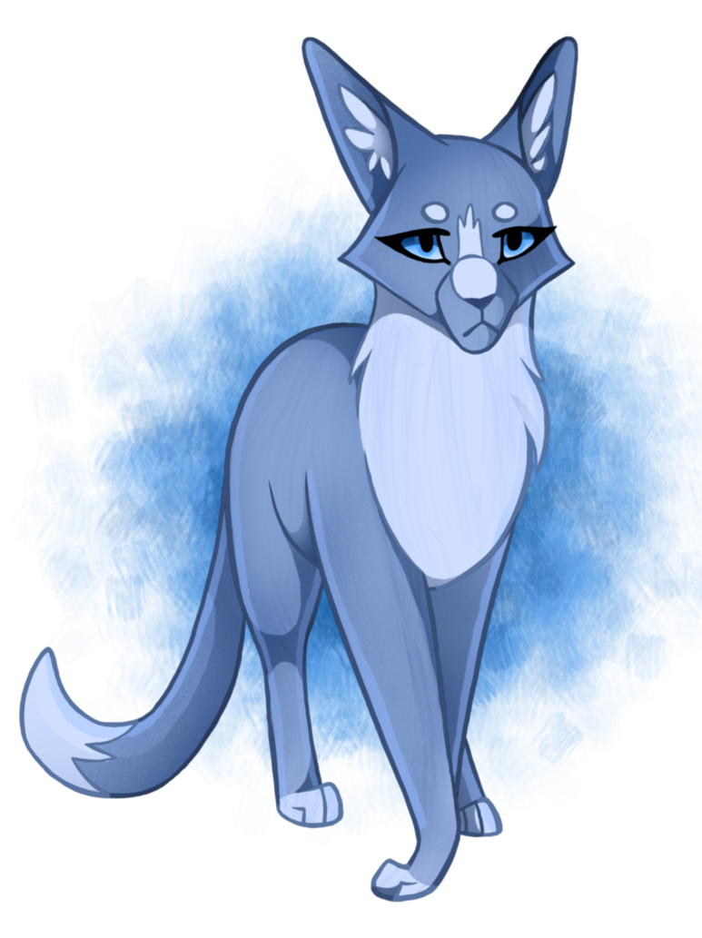 Like Whiskers Dog Cat Kitten Mammal Transparent PNG Image