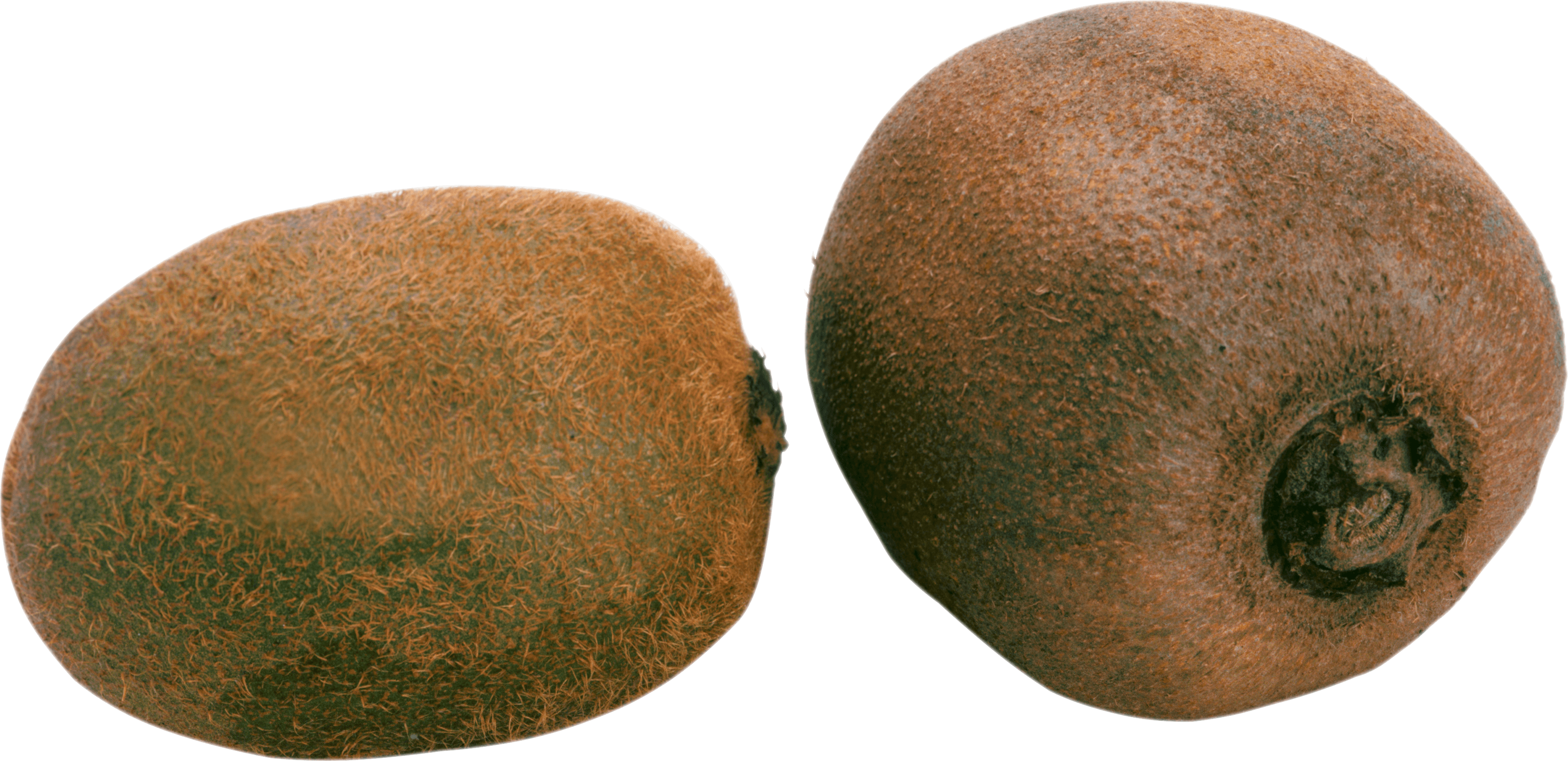 Two Kiwis Png Image Picture Transparent PNG Image