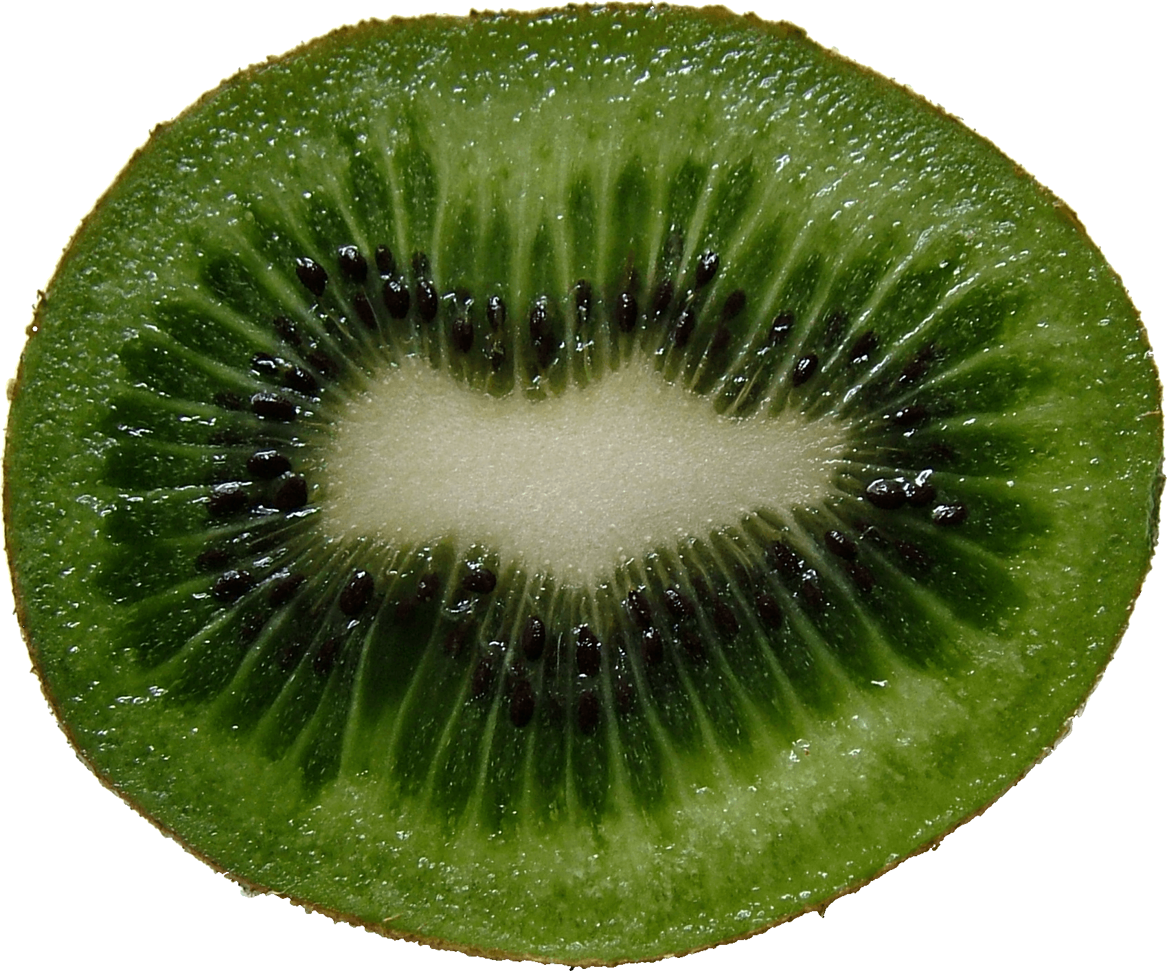 Green Cutted Kiwi Png Image Transparent PNG Image