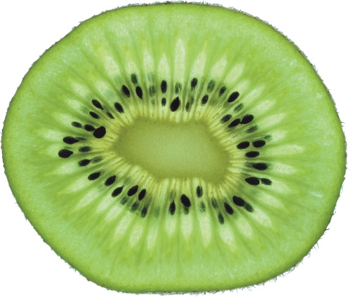 Kiwi Png Hd Transparent PNG Image