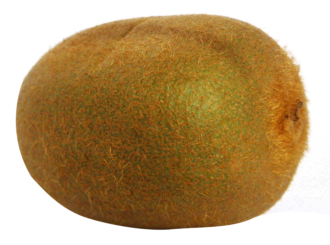 Kiwi Fruit File Transparent PNG Image