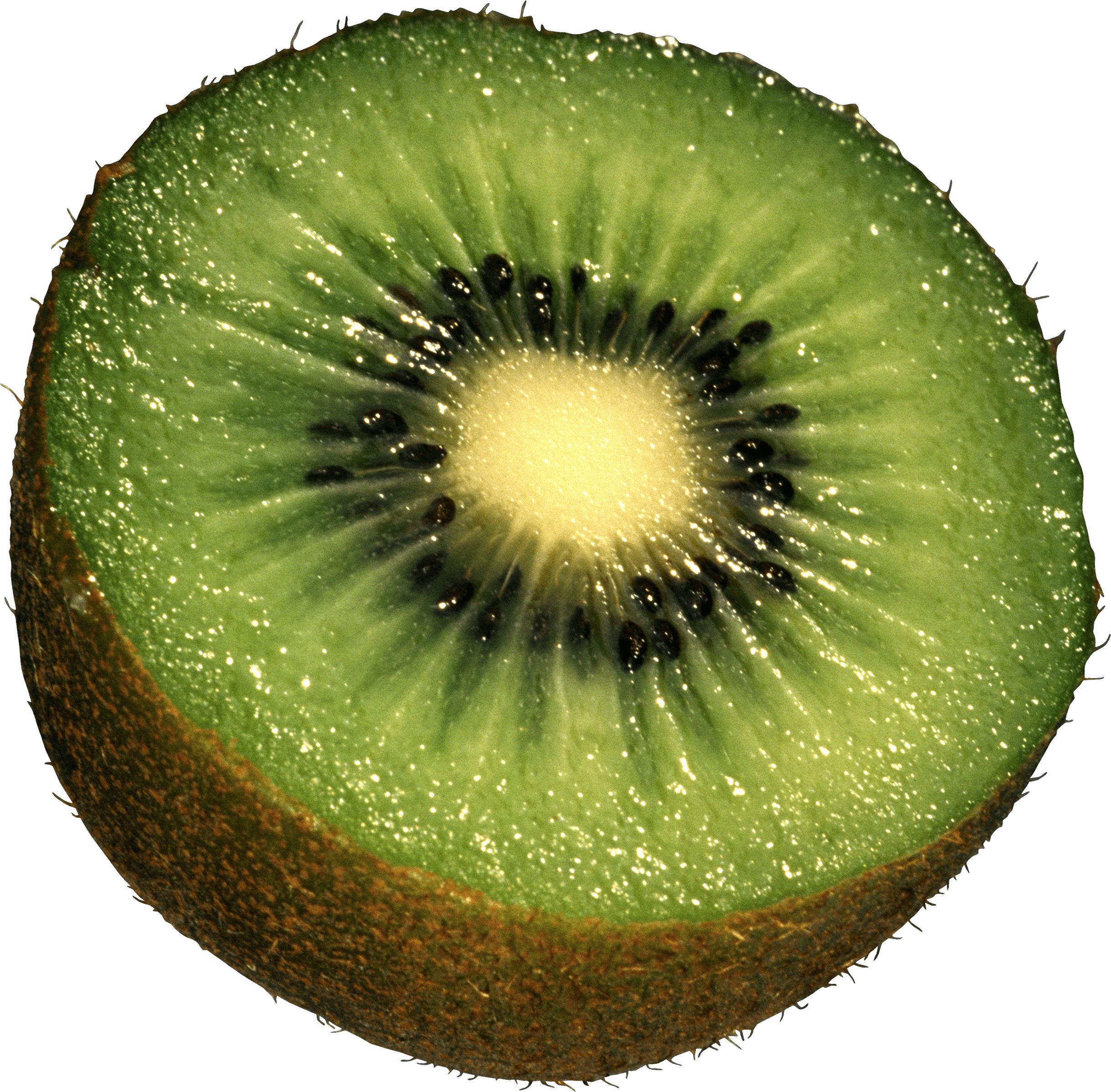 Kiwi Png Image Fruit Kiwi Png Pictures Download Transparent PNG Image