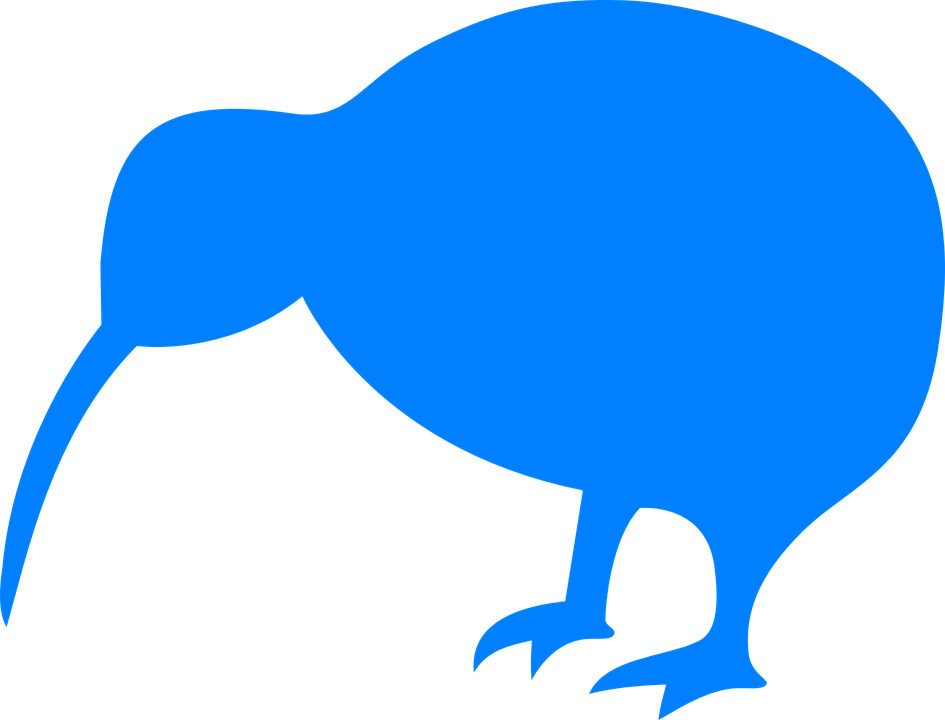 Wild Kiwi Bird Free Transparent Image HQ Transparent PNG Image