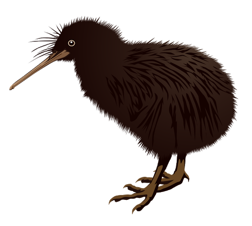 Wild Kiwi Bird HD Image Free Transparent PNG Image