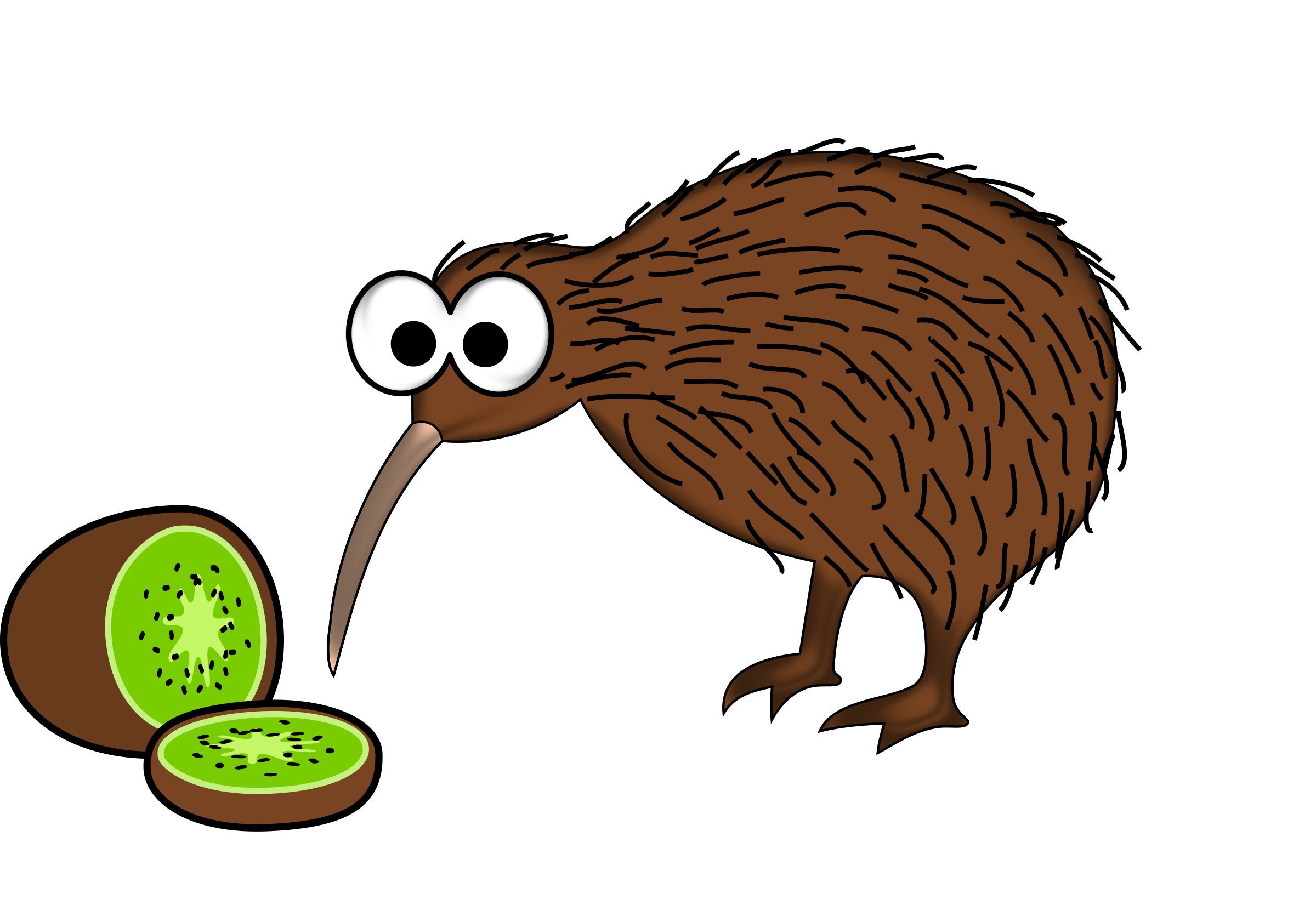 Kiwi Bird Transparent PNG Image