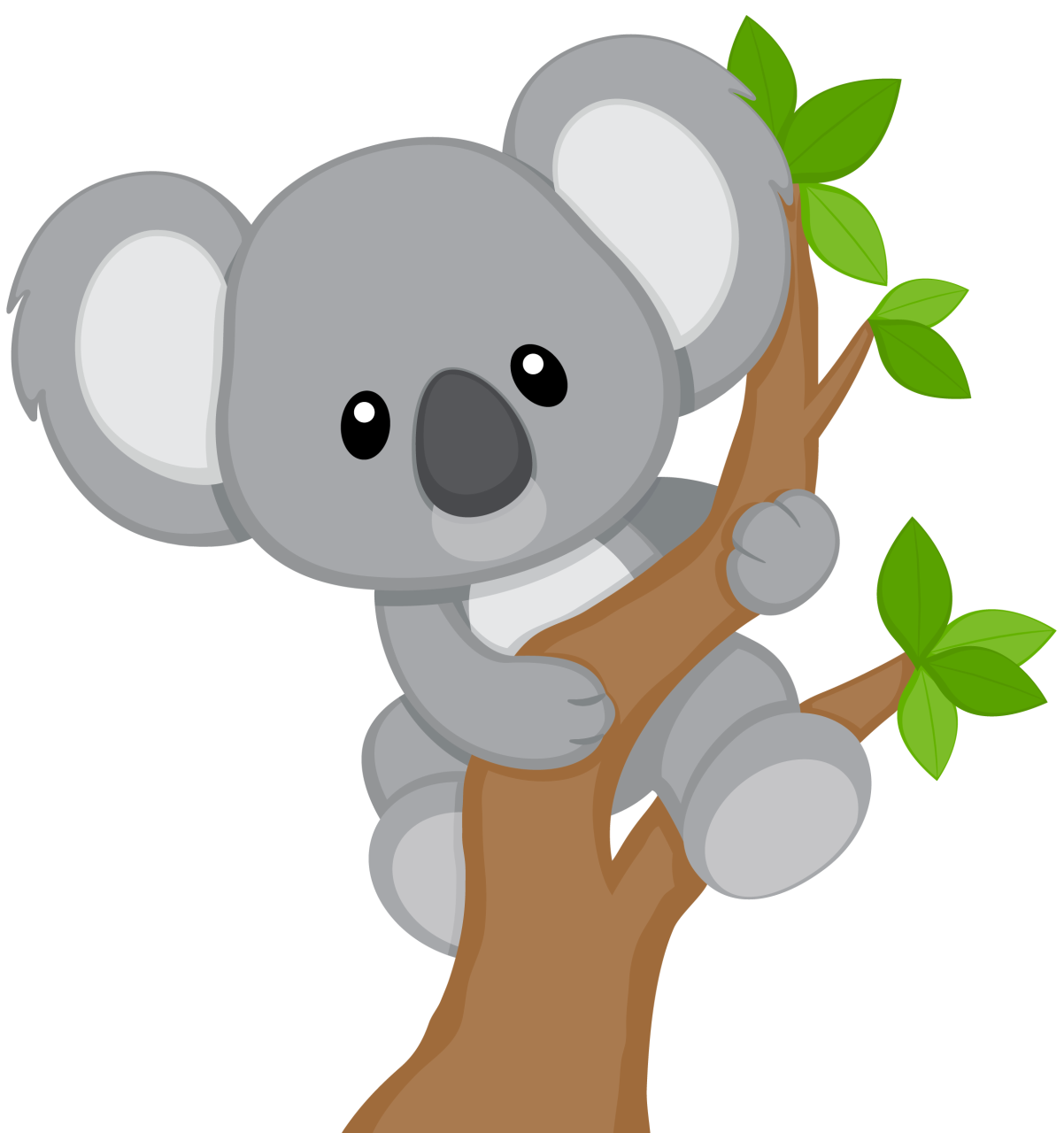 Koala Face PNG Download Free Transparent PNG Image