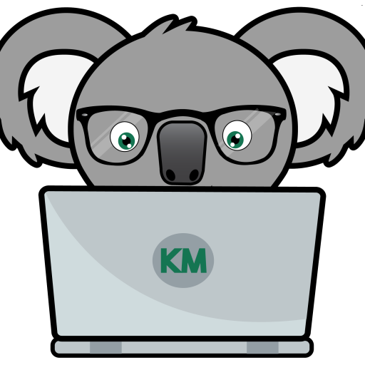 Koala Face Free Photo Transparent PNG Image