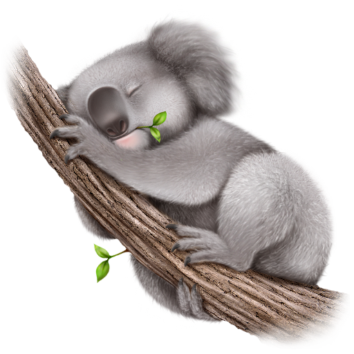 Koala PNG Download Free Transparent PNG Image