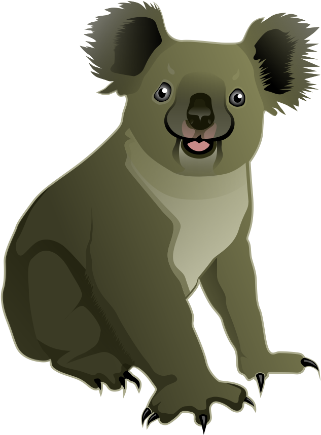 Koala Vecrtor PNG Image High Quality Transparent PNG Image