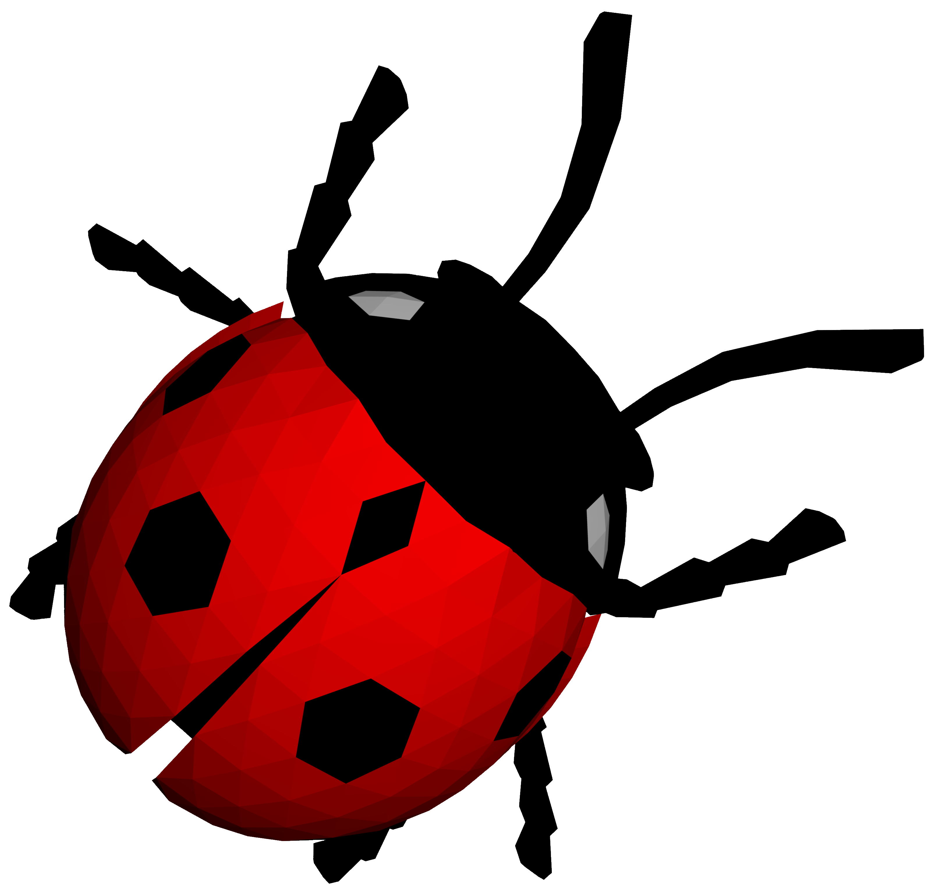 Ladybug Insect Vector Photos Free Clipart HQ Transparent PNG Image