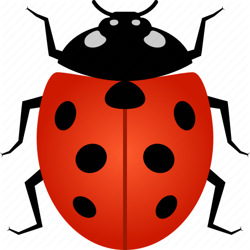 Ladybug Insect Vector Pic Free Clipart HQ Transparent PNG Image