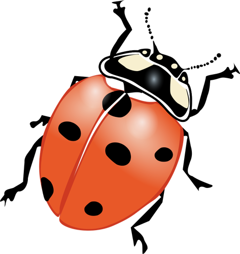 Ladybug Transparent PNG Image