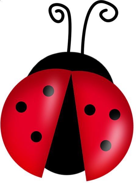 Ladybug Png File Transparent PNG Image