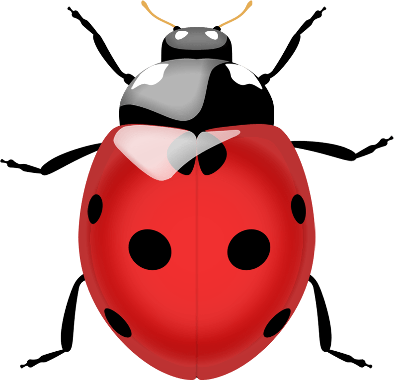 Ladybug Png Image Transparent PNG Image