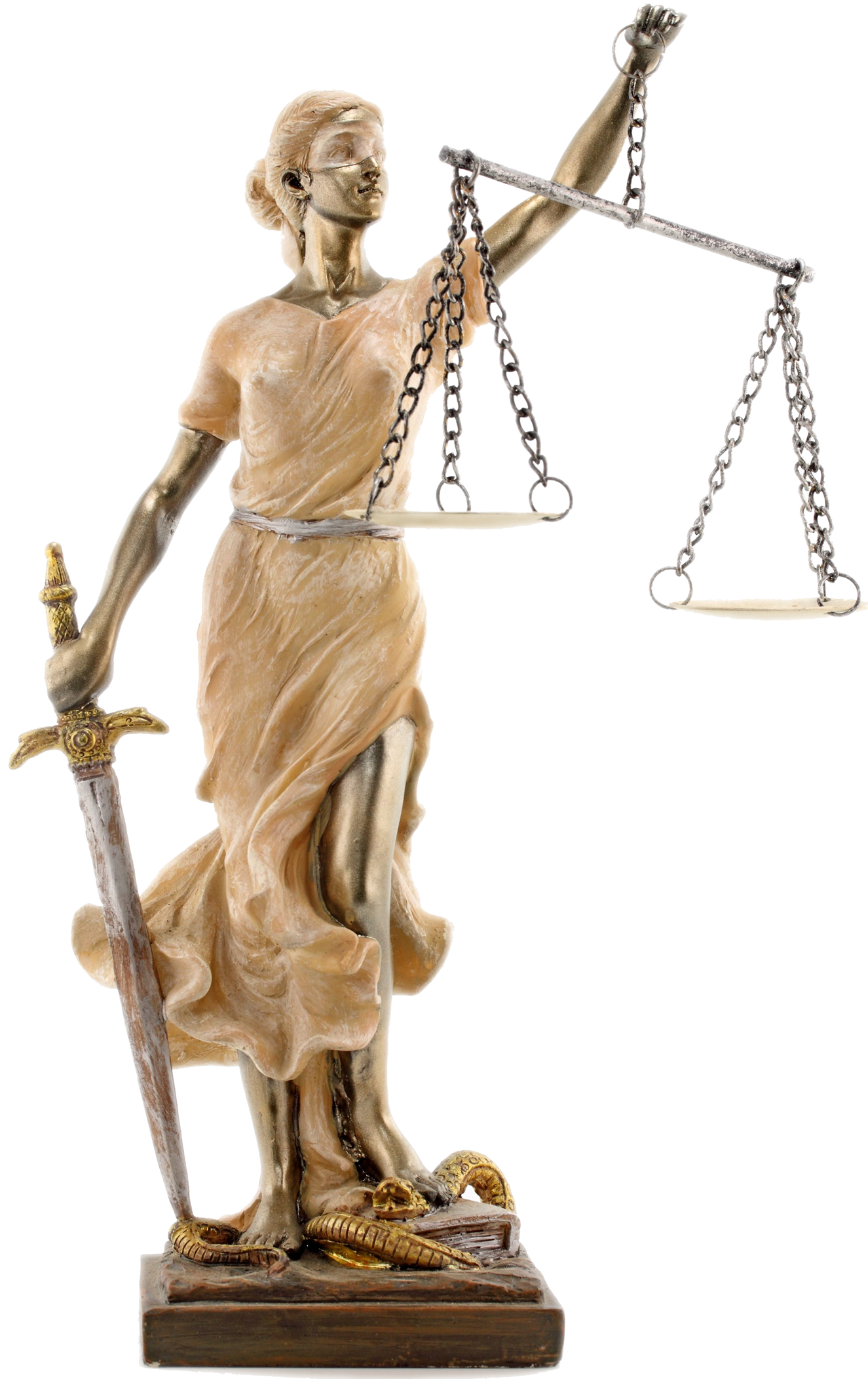 Lawyer Photo Transparent PNG Image