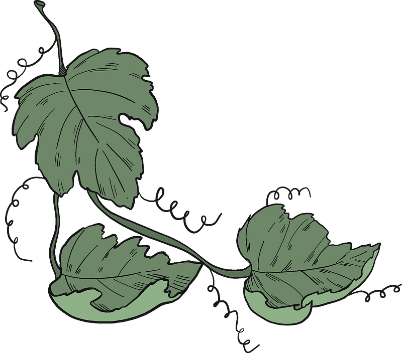 Grape Vine Leaf Art Download Free Image Transparent PNG Image