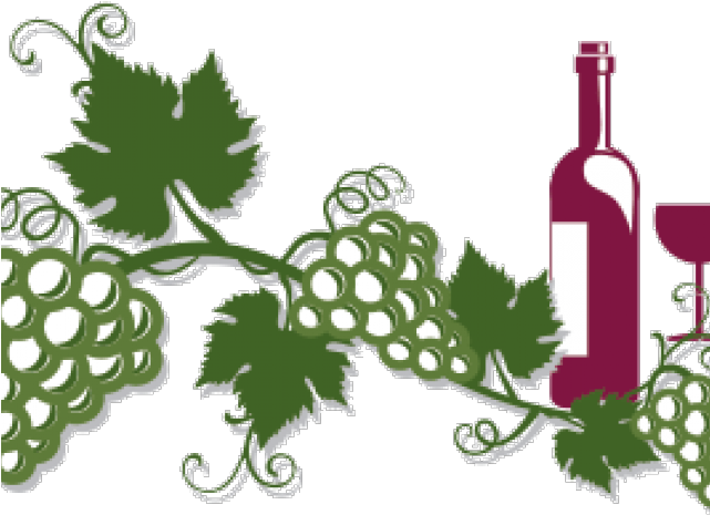 Grape Vine Leaf Art Photos Transparent PNG Image