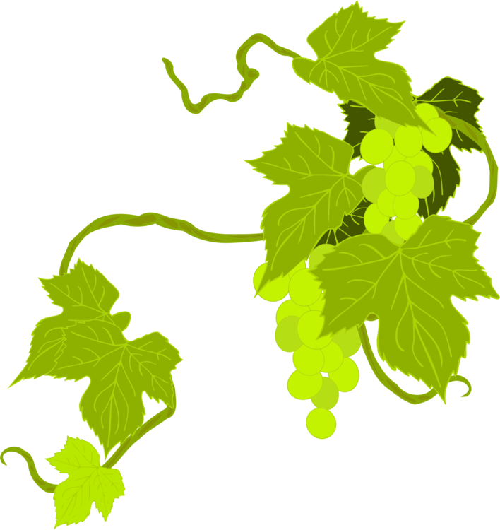 Grape Vine Leaf Art PNG File HD Transparent PNG Image