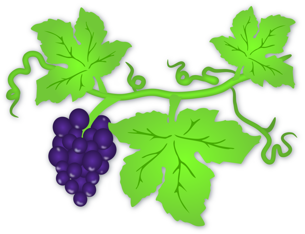 Grape Vine Leaf Art HQ Image Free Transparent PNG Image