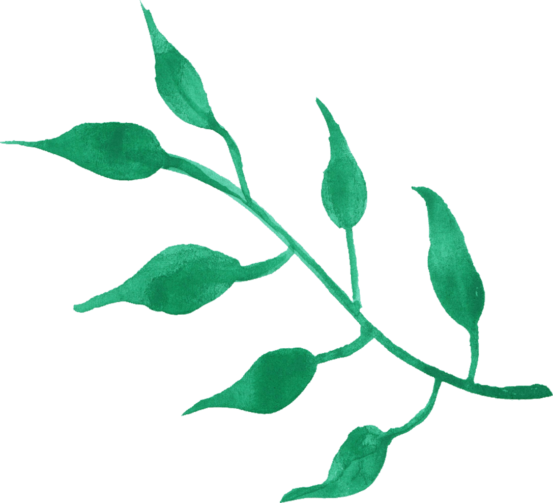 Fresh Green Leafs PNG Free Photo Transparent PNG Image