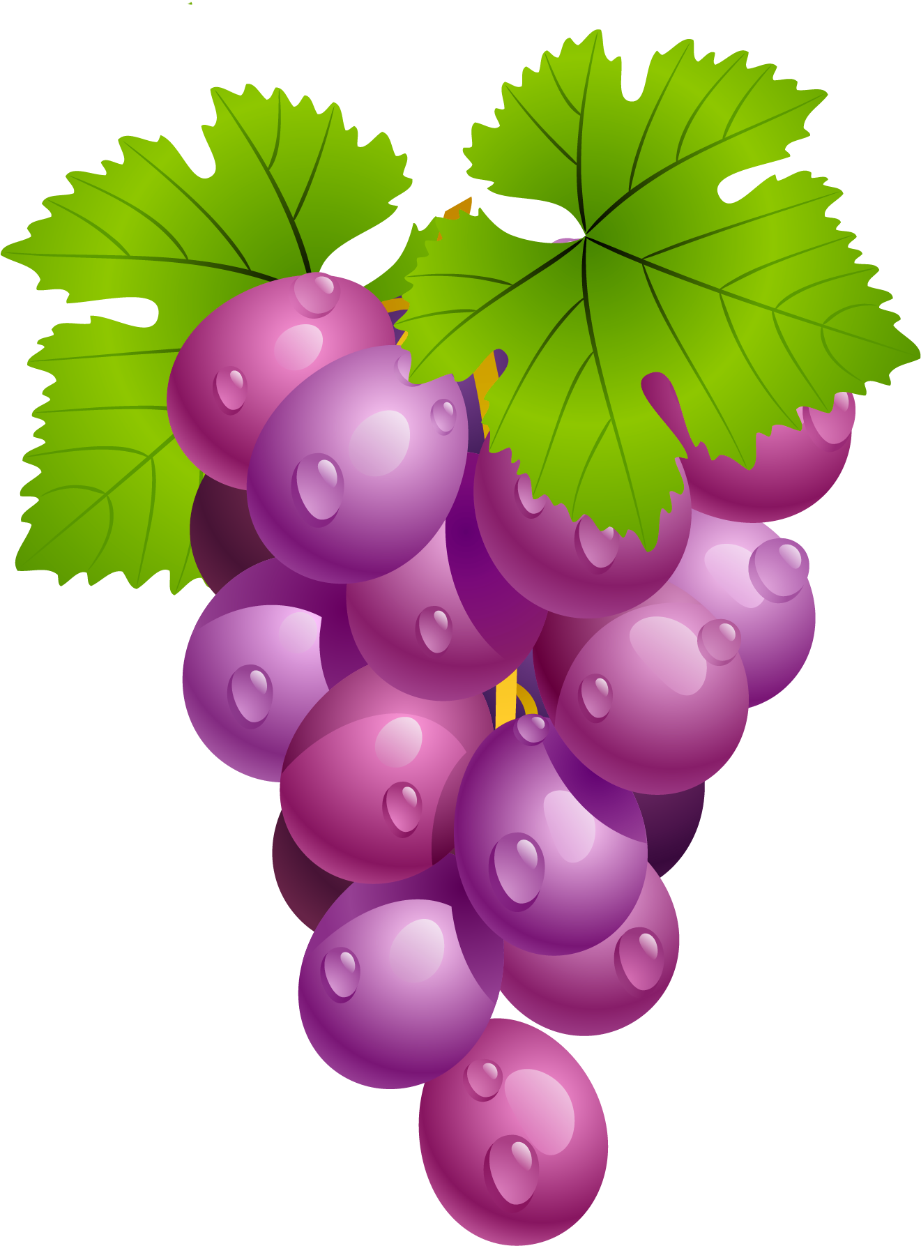 Vine Leaf Grape Free Clipart HD Transparent PNG Image