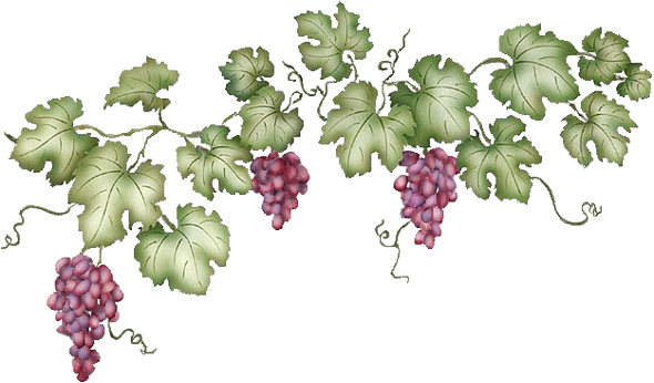 Vine Leaf Grape Free Transparent Image HD Transparent PNG Image