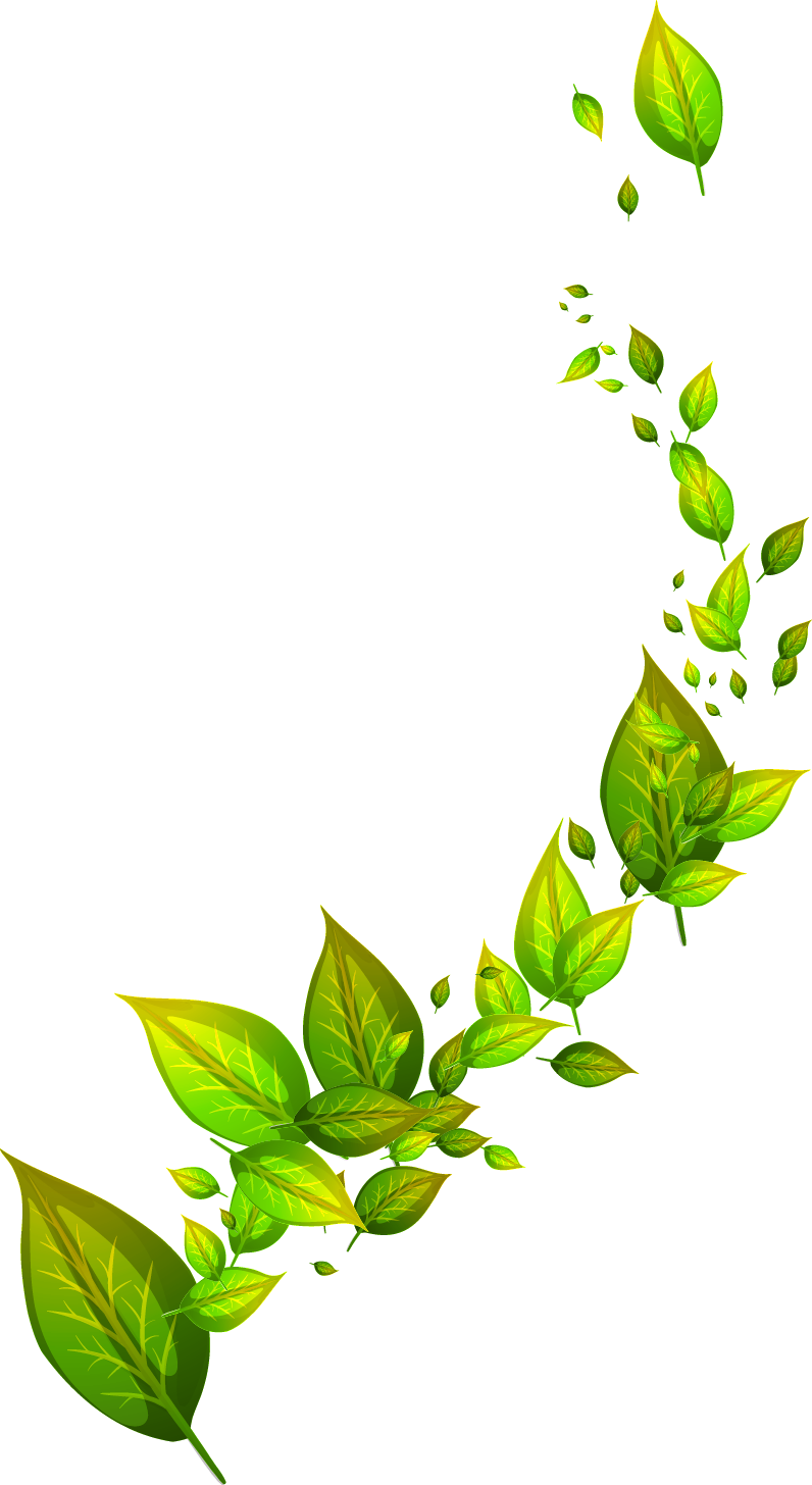 Green Leafs Free Transparent Image HD Transparent PNG Image