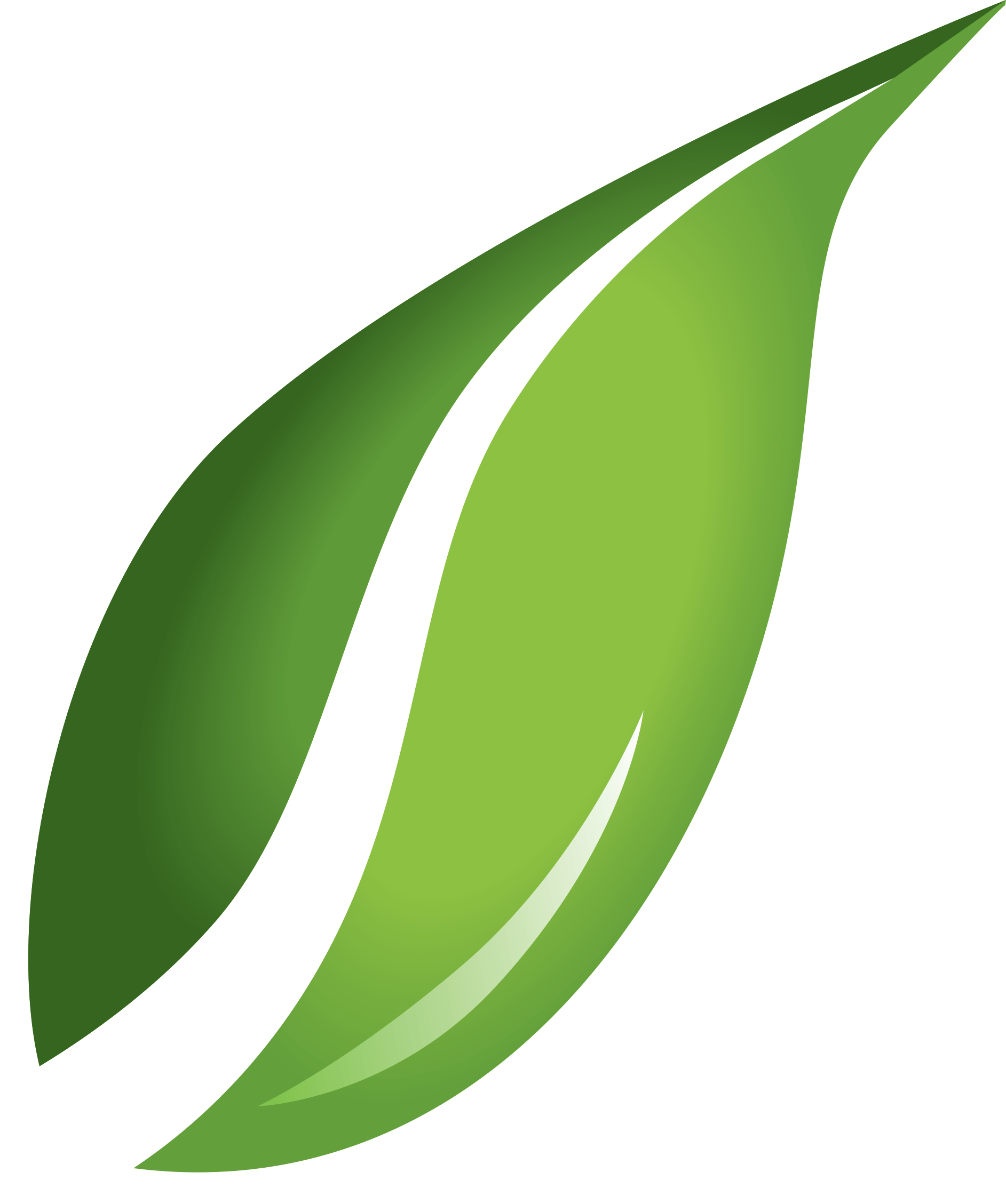 Green Leafs Free HD Image Transparent PNG Image