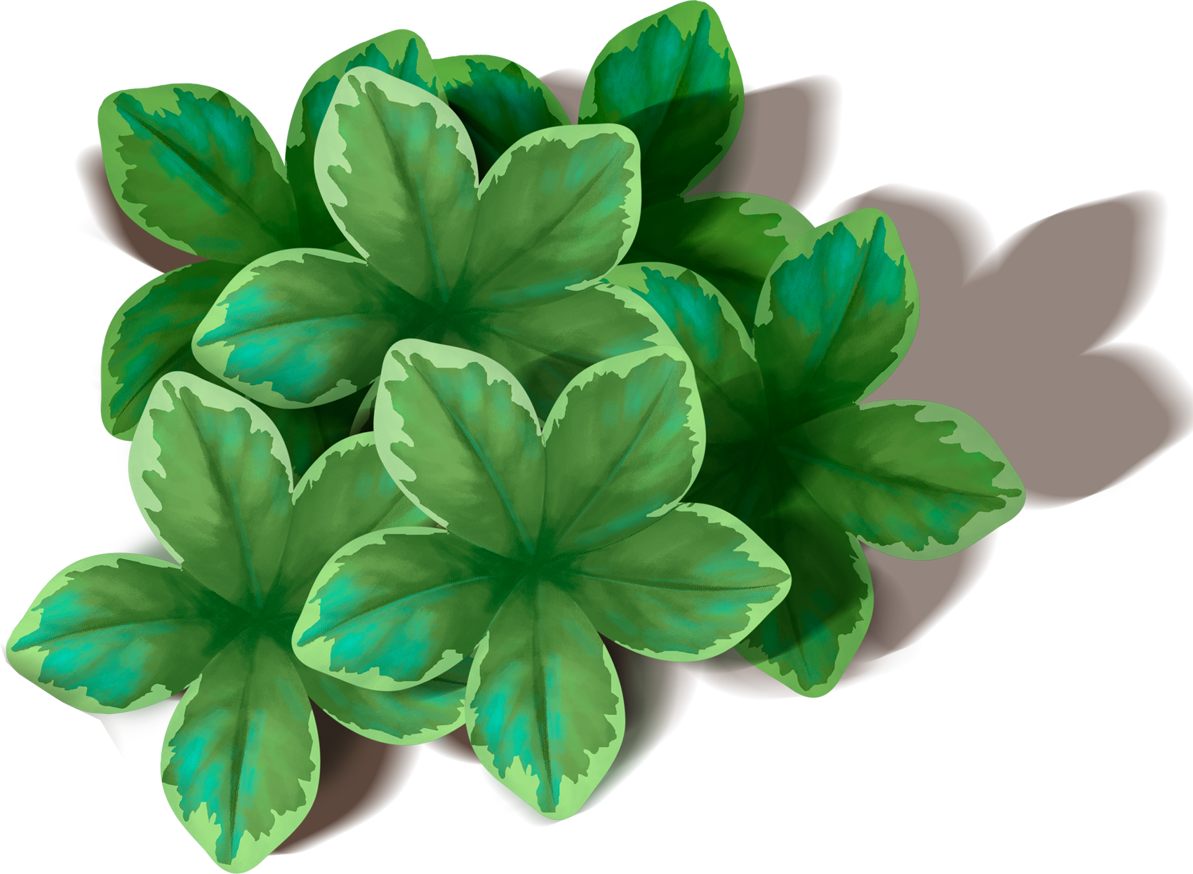 Green Organic Leafs Download Free Image Transparent PNG Image