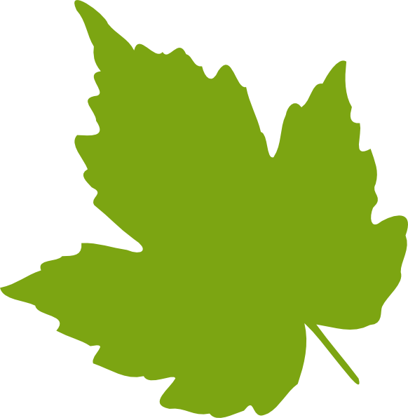 Vector Green Leafs Free Clipart HQ Transparent PNG Image