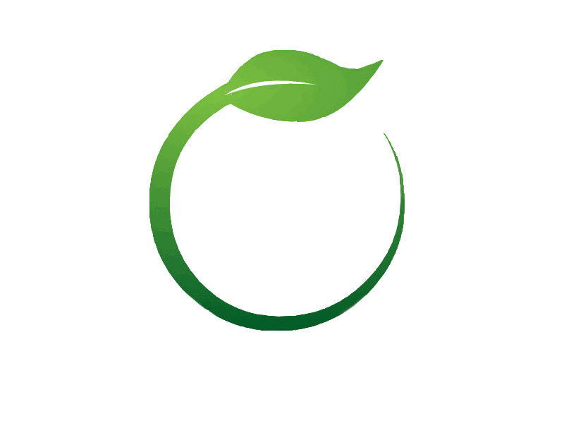 Green Leaf Picture Free PNG HQ Transparent PNG Image