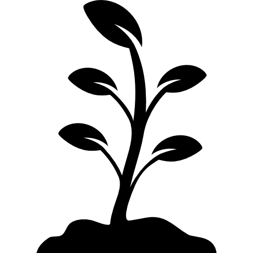 Growing Plant Free Download Image Transparent PNG Image