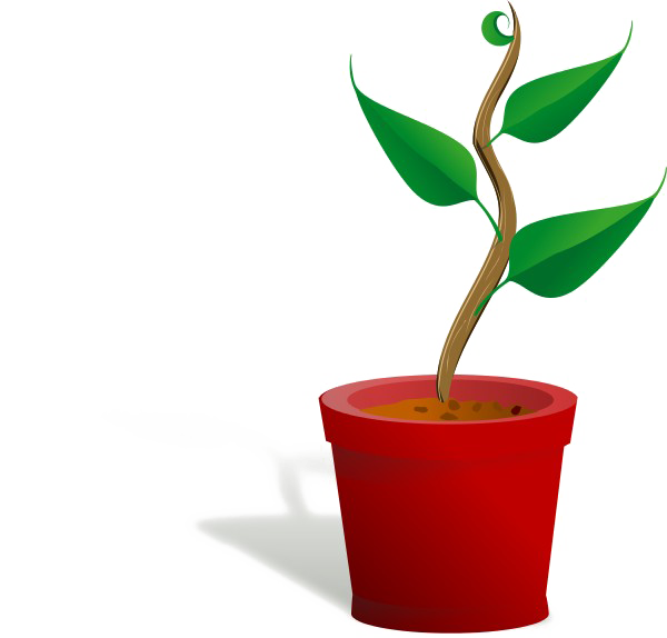 Growing Plant Download Free Clipart HD Transparent PNG Image