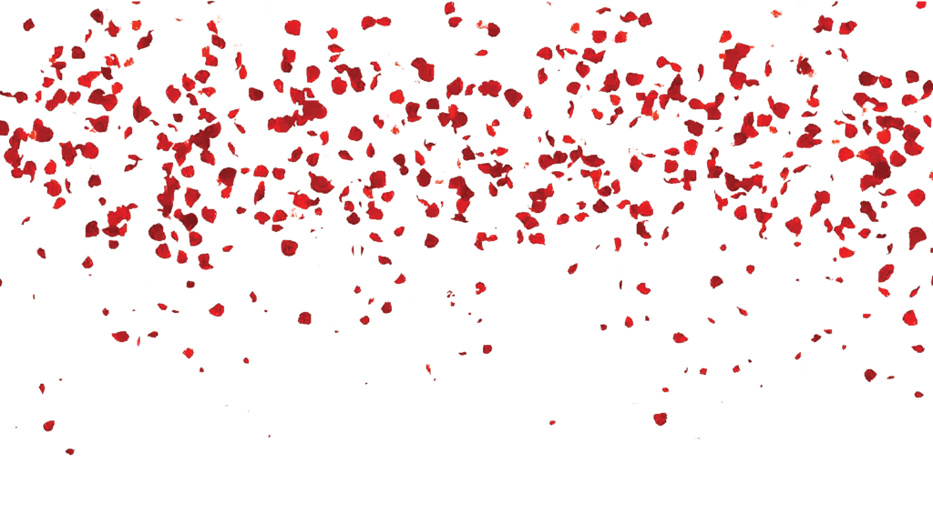 Falling Petals Image Free Download PNG HQ Transparent PNG Image