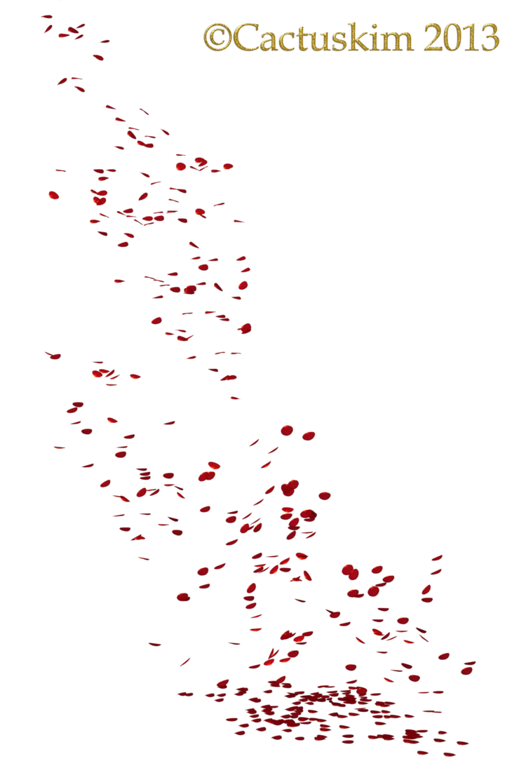 Falling Petals Free Download PNG HD Transparent PNG Image